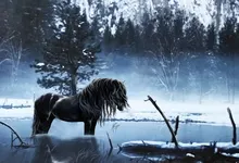 horses artwork Art HD Wallpaper